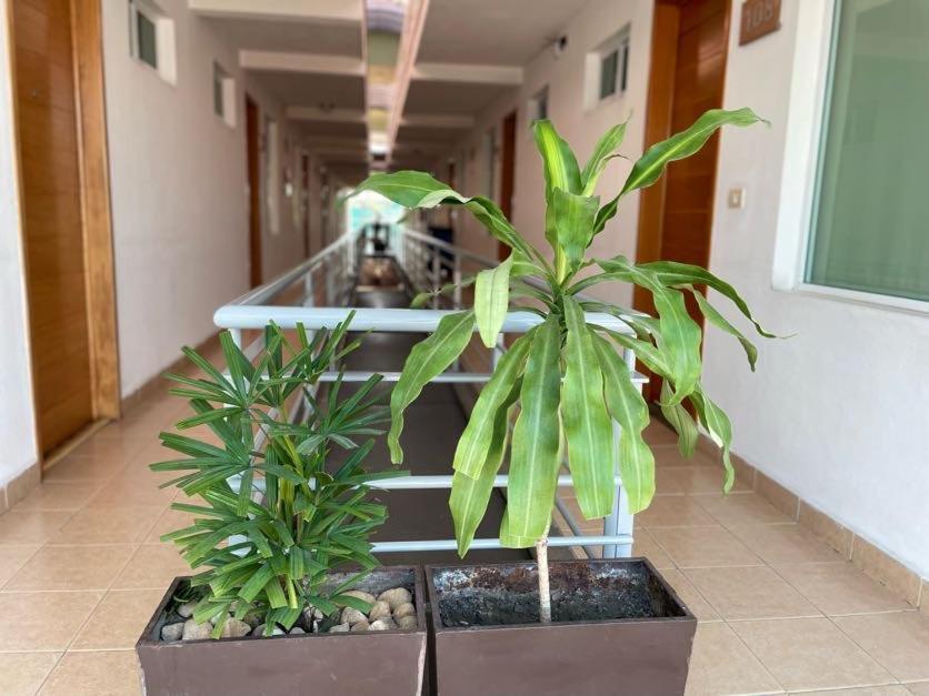 Hotel Santo Domingo Express Villahermosa Zewnętrze zdjęcie